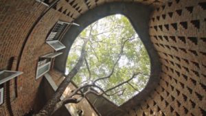 Tree growing through a courtyard at The Centre for Development Studies in Thiruvananthapuram, Kerala